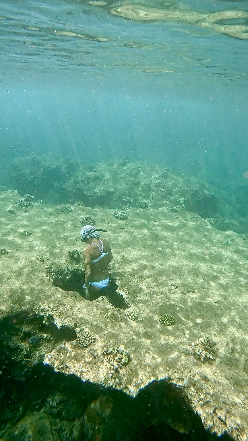 Heli exploring the edge of an underwater rock opening